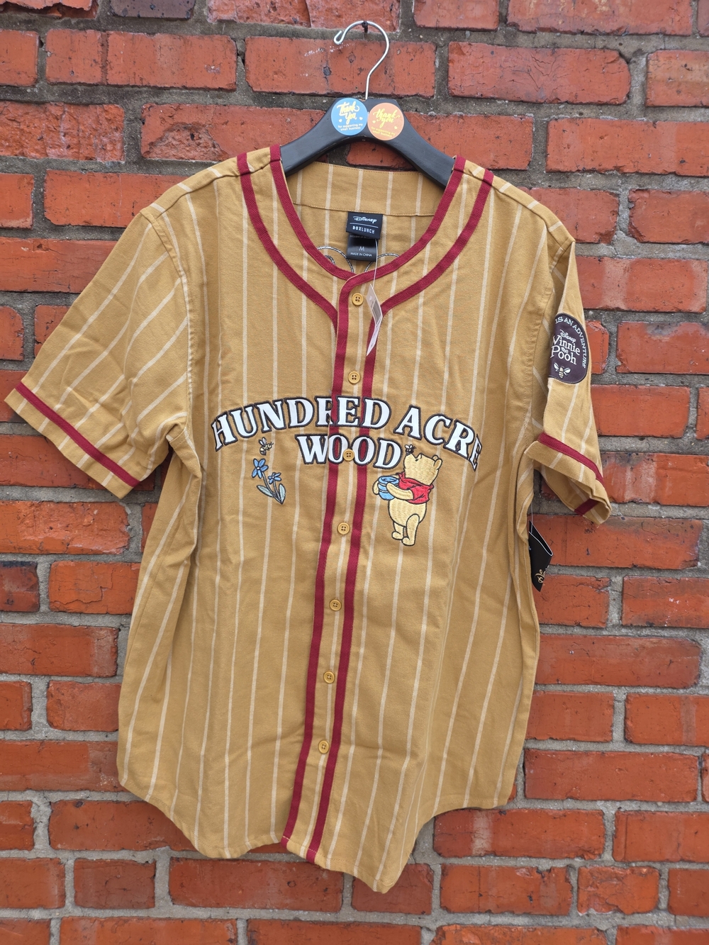 Disney Winnie The Pooh Hundred Acre Wood Baseball Jersey Unisex M NWT (A)